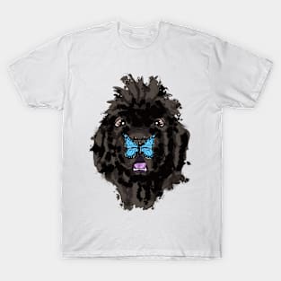 Newfoundland and blue butterfly T-Shirt